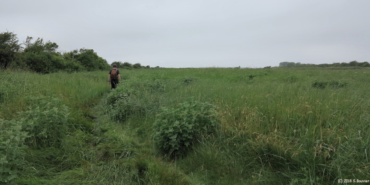 Quend (Sentier 1)