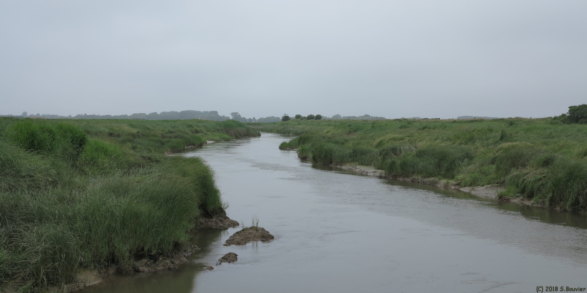 Quend (L'Authie 1)