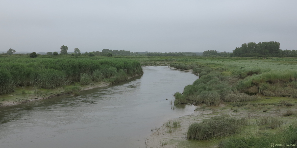 Quend (L'Authie 2)