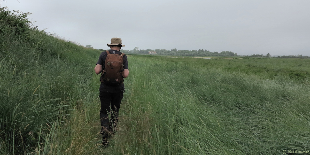 Quend (Sentier 3)