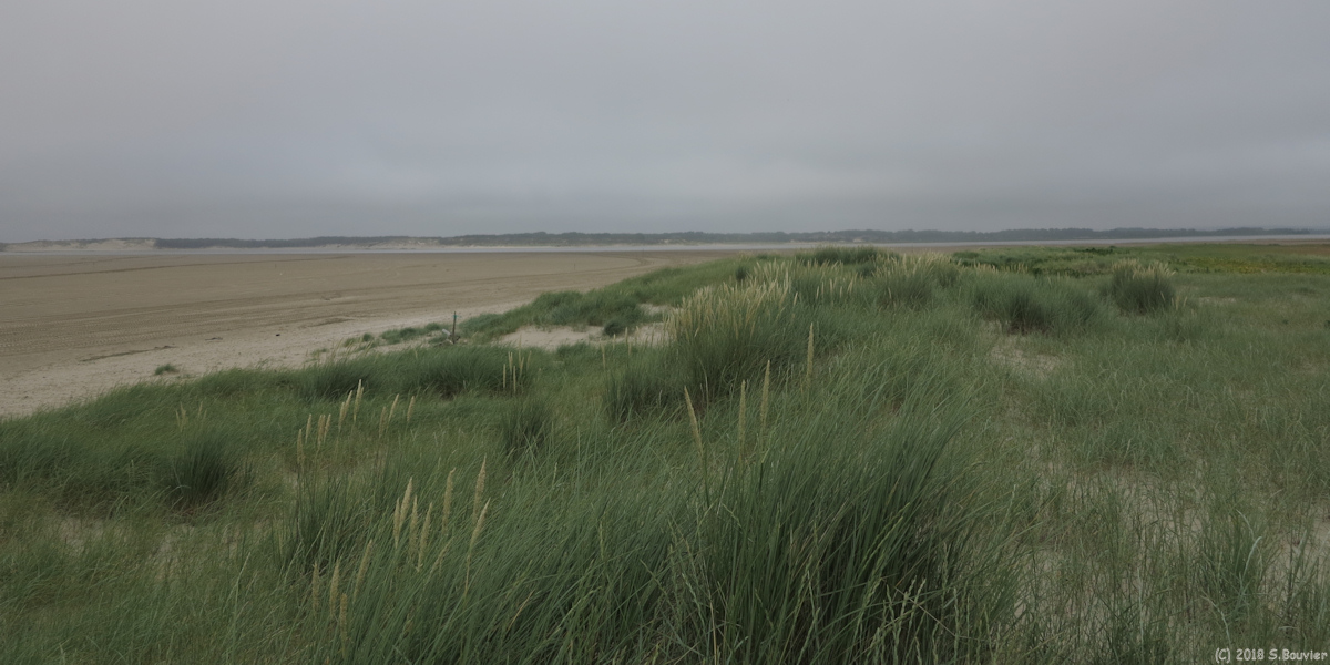 Fort-Mahon-Plage (Baie 2)