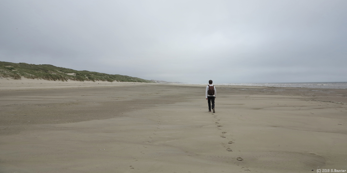 Fort-Mahon-Plage (Estran)