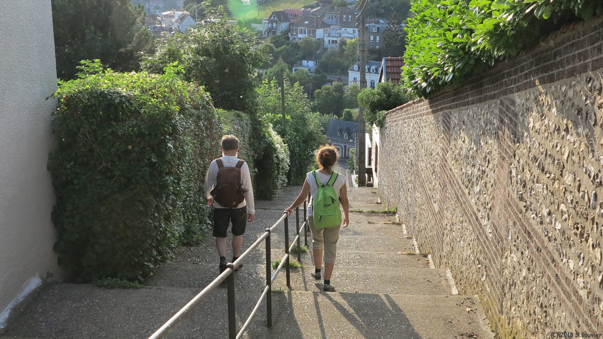 Bois-Guillaume (Escalier 1)