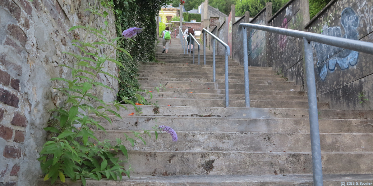 Bois-Guillaume (Escalier 3)