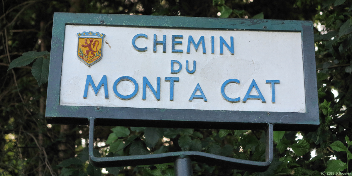 Mont Saint Aignan (Panneau 1)