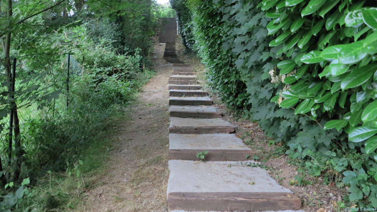 Mont Saint Aignan (Sente)