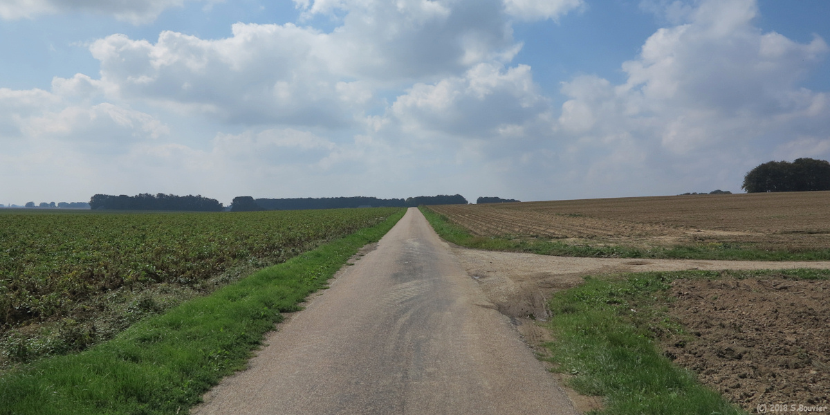 Ancourteville sur Héricourt (D 233)