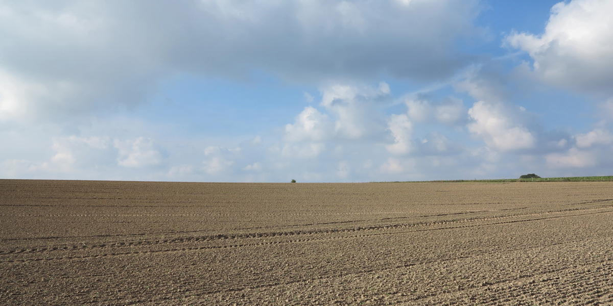 Rocquefort (Plaine)