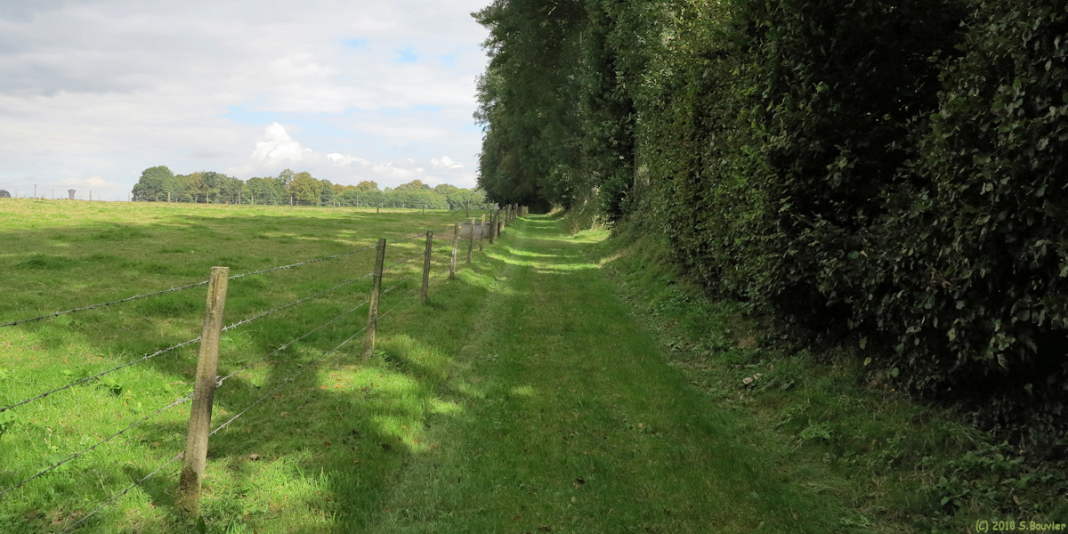 Bermonville (Chemin 1)