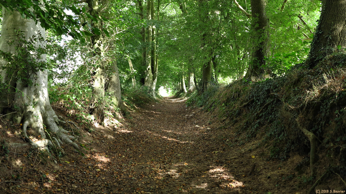 Bermonville (Chemin 2)