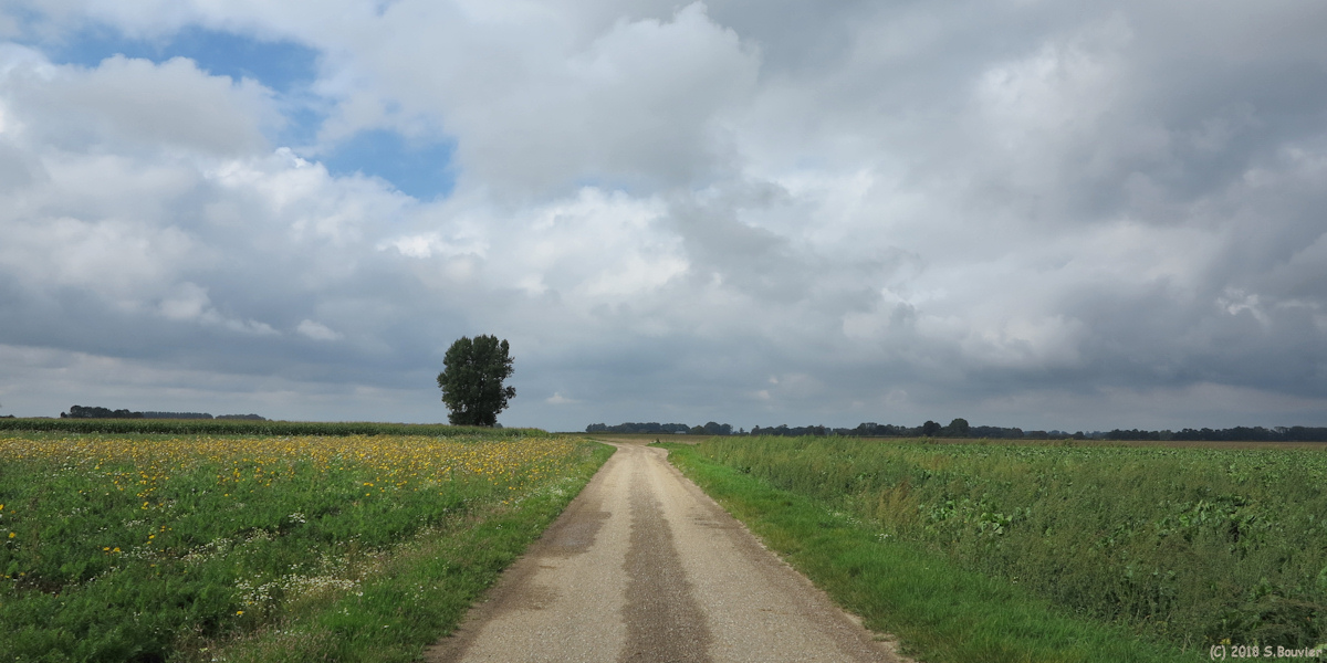 Saint Pierre Lavis (Chemin)