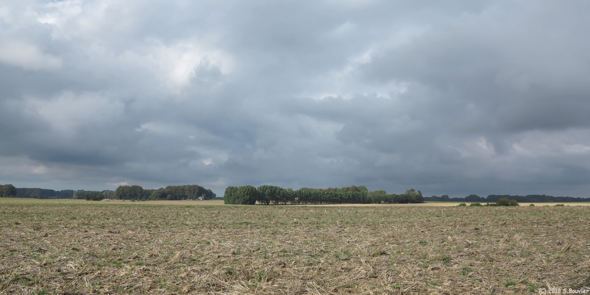 Sainte Margurite sur Fauville (Plaine)