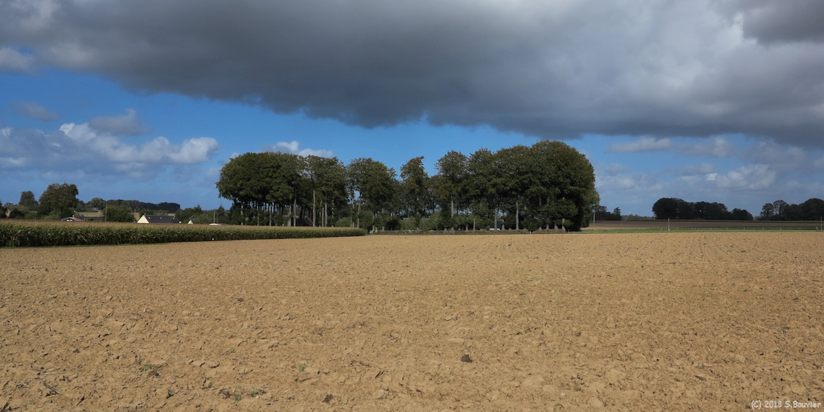 Hattenville (La Cayenne)