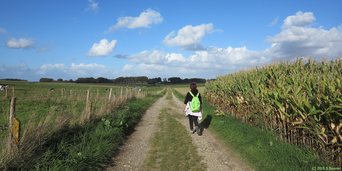Yébleron (Chemin 2)
