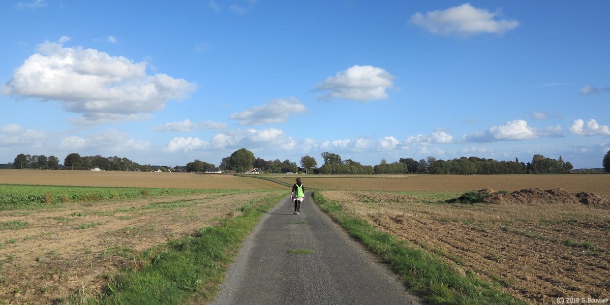 Auzouville Auberbosc (Route)
