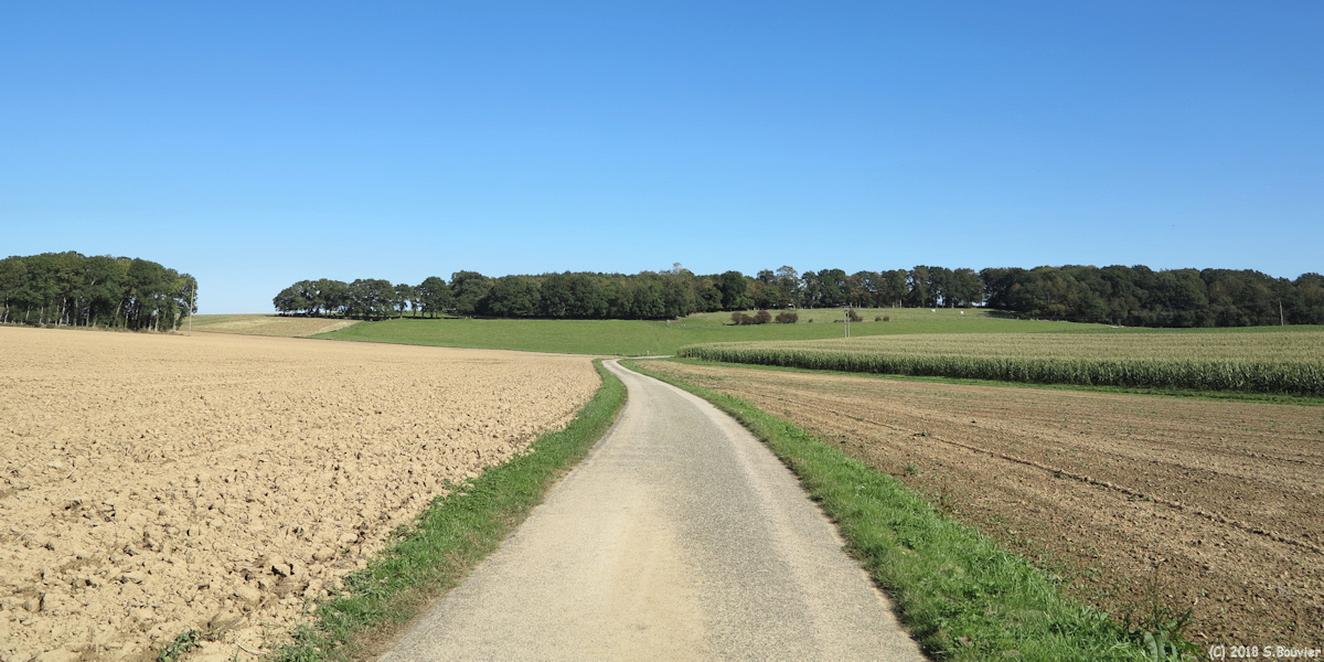 Bréauté (Route)