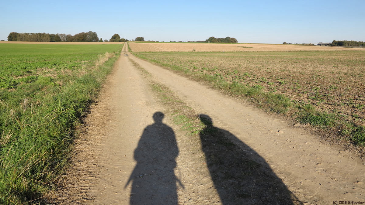 Rouville (Ombres)