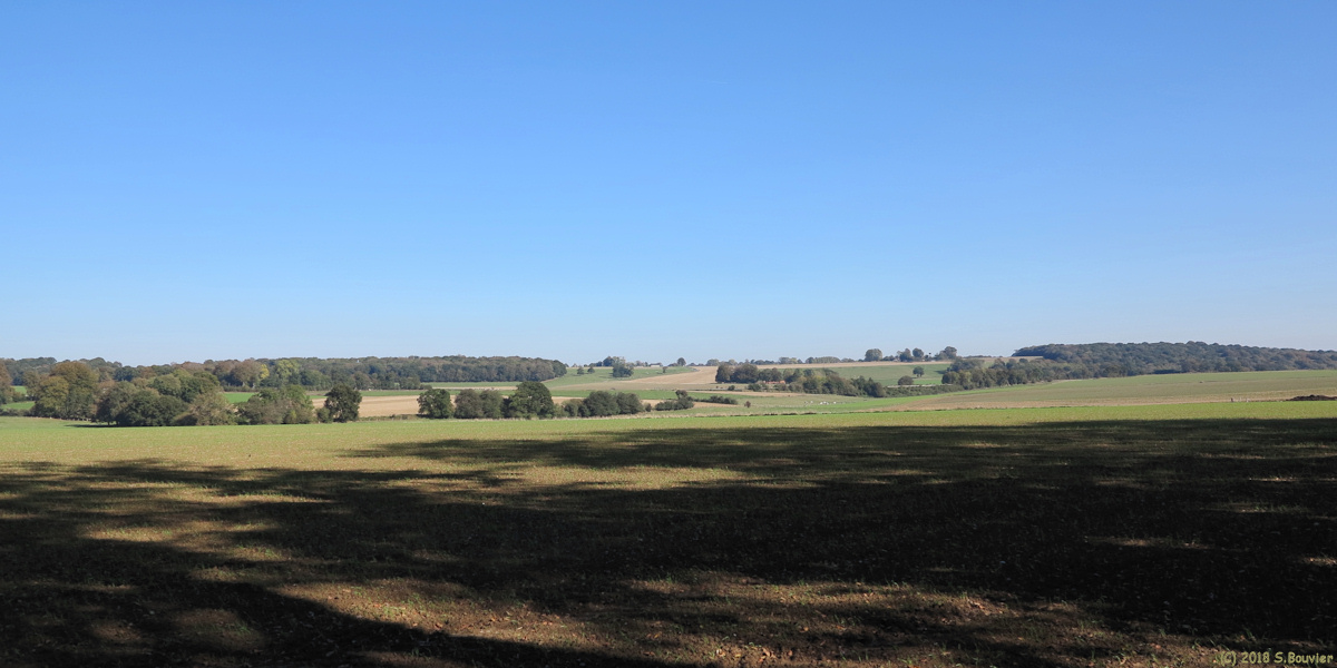 Bréauté (Vue)