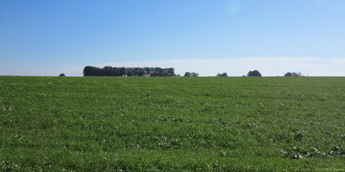 Bréauté (Plaine)