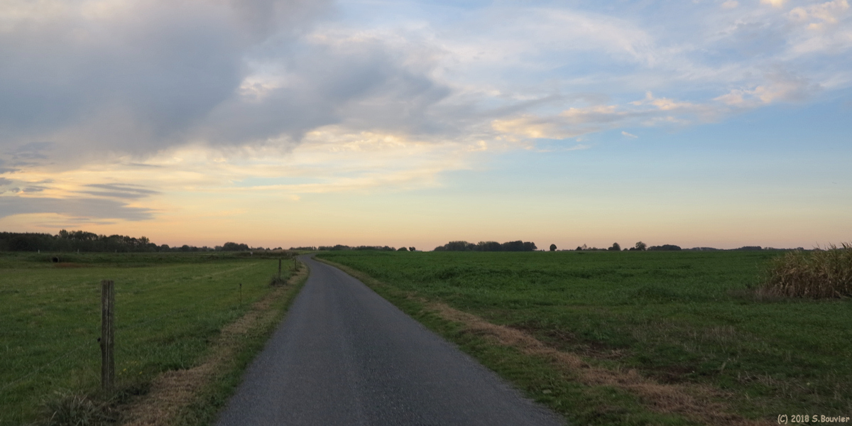 Vattetot sous Beaumont (Route)