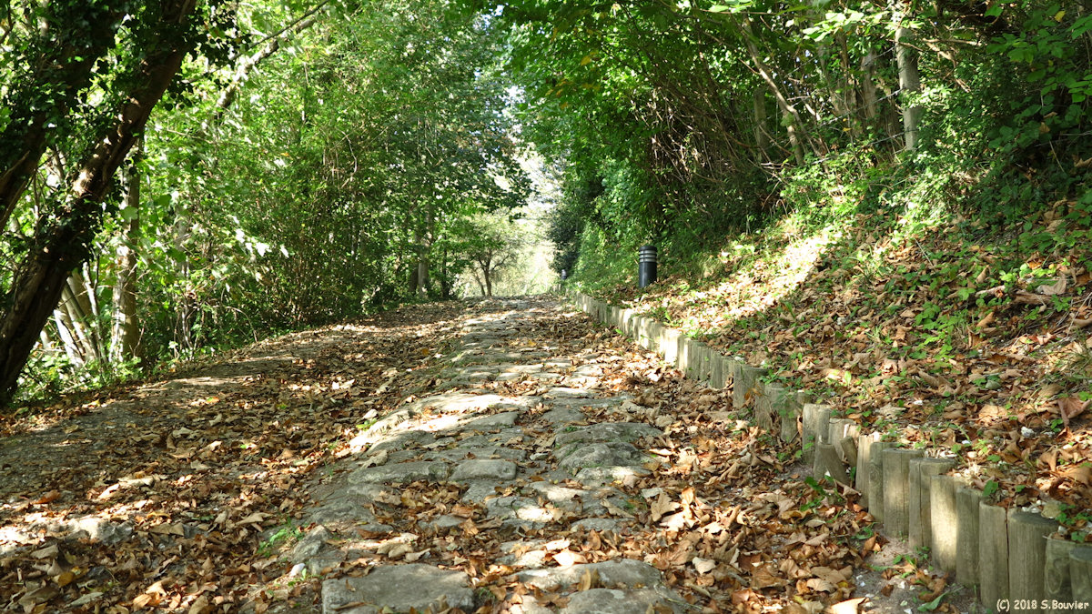 Fécamp (Voie)