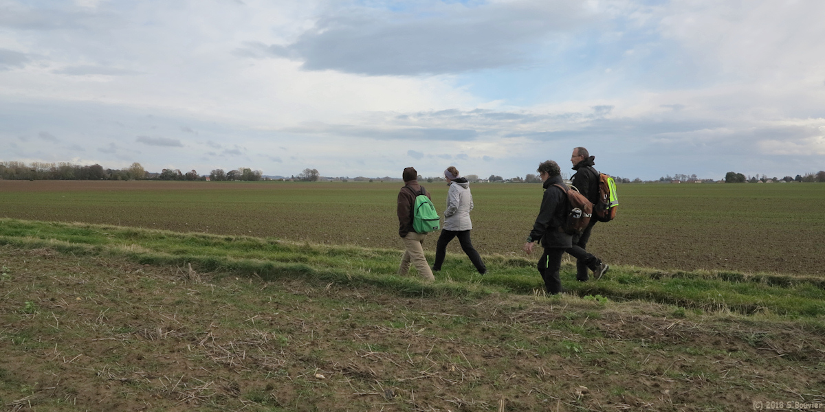 Thil-Manneville (Chemin 1)