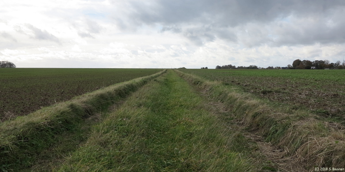 Thil-Manneville (Chemin 2)