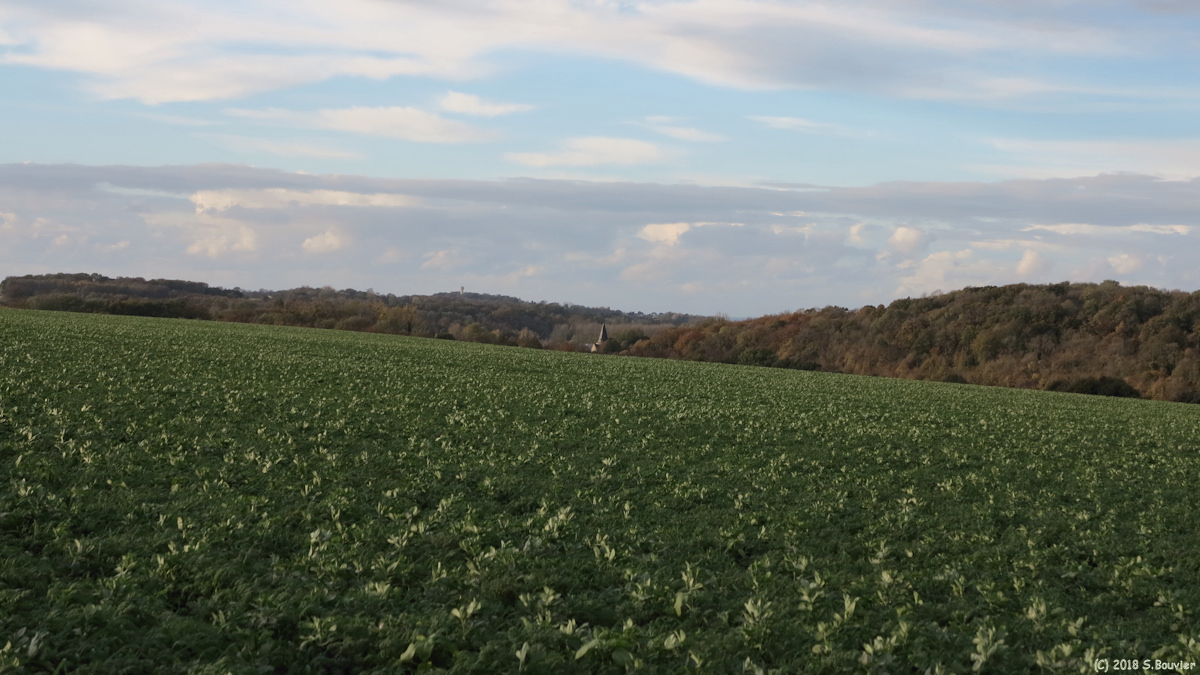 Ouville la Rivière (Plaine 1)