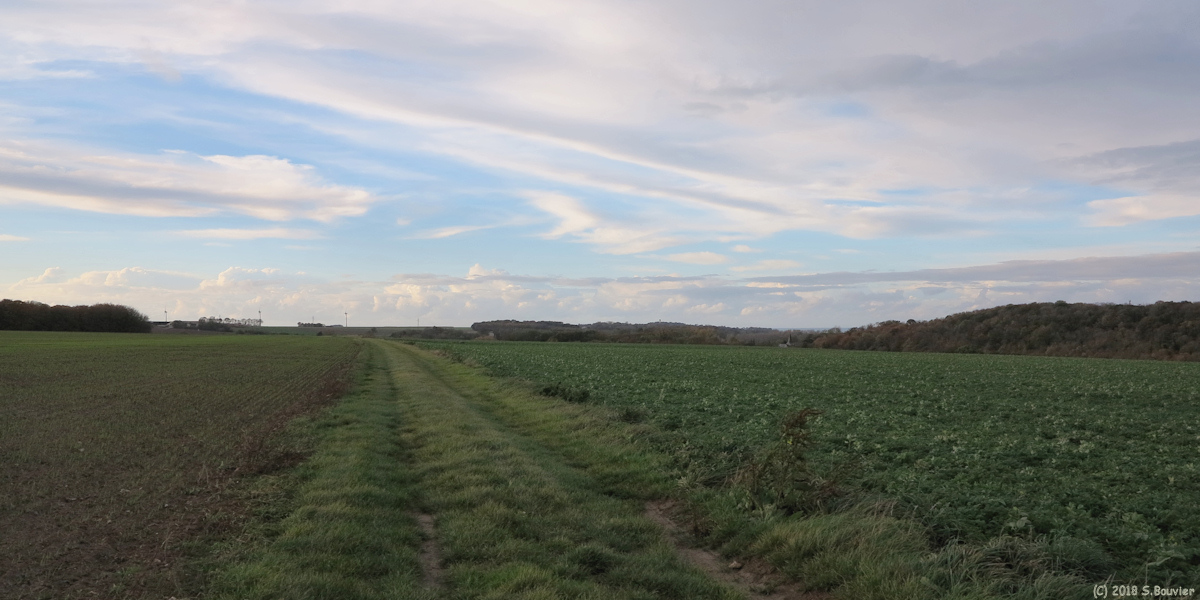 Ouville la Rivière (Plaine 2)