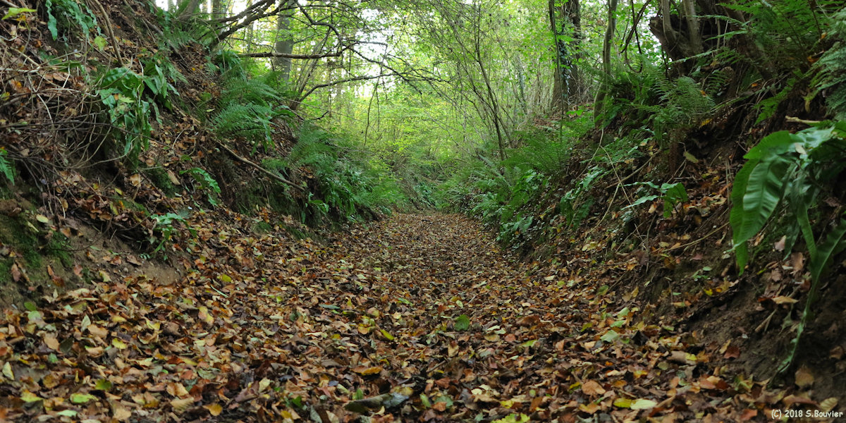 Ouville la Rivière (Chemin 2)