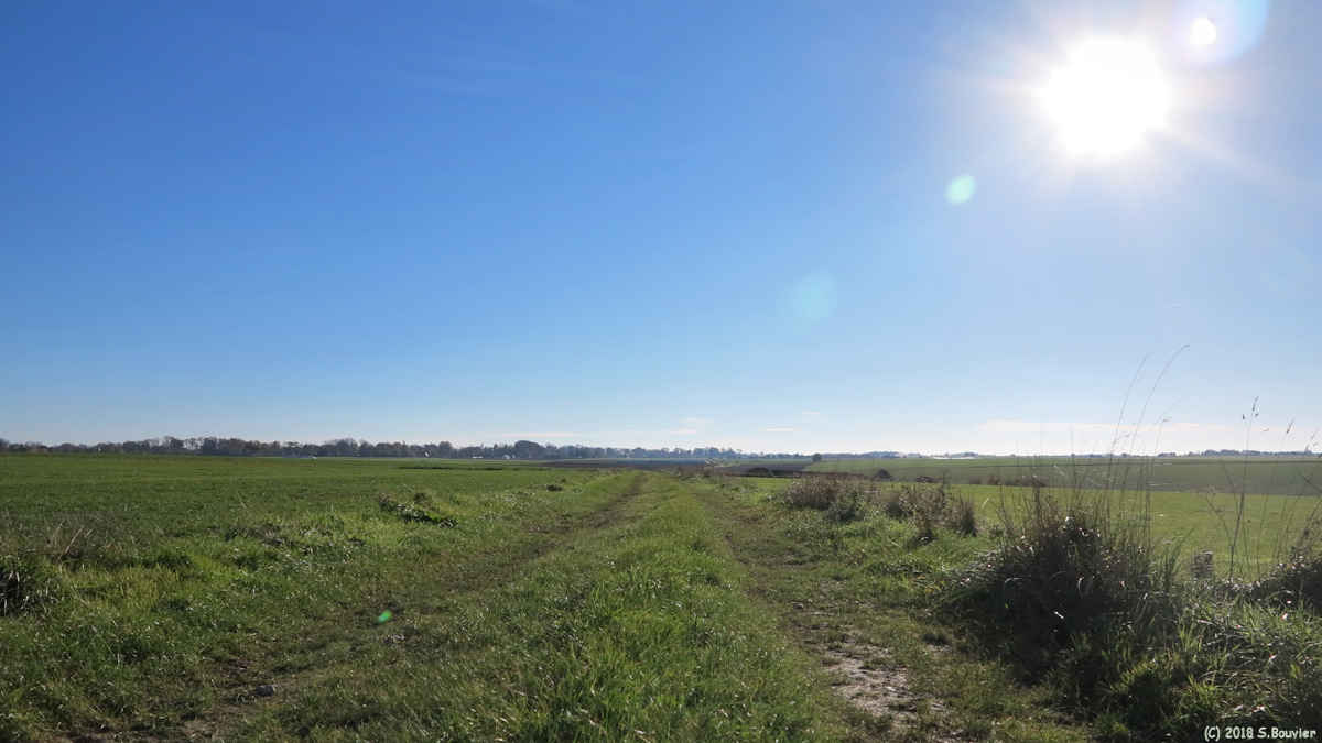 Saint Pierre le Vieux (Chemin 2)