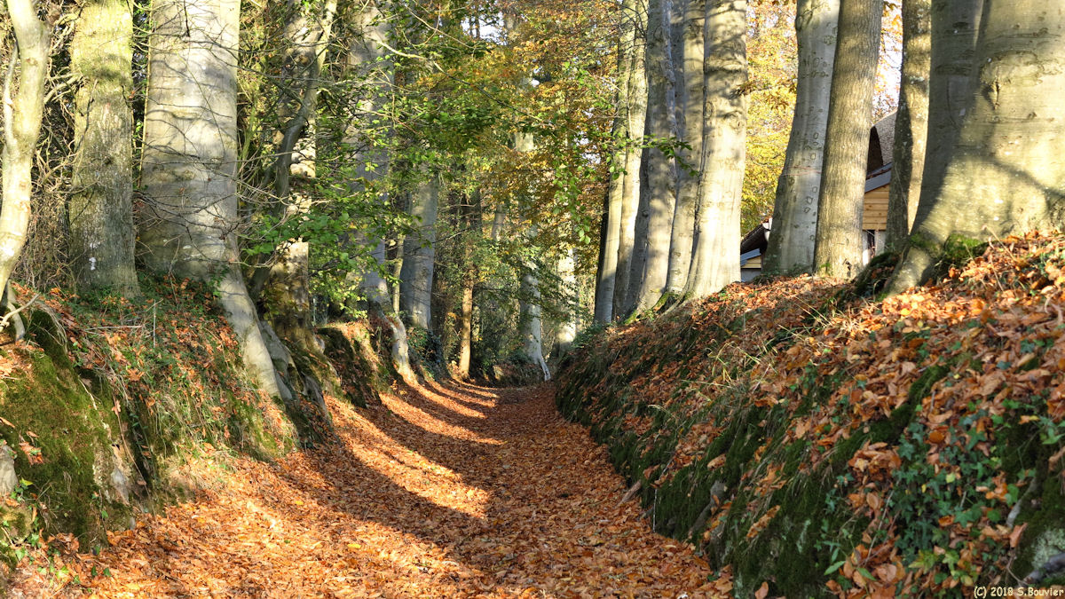 Crasville la Rocquefort (Chemin 1)