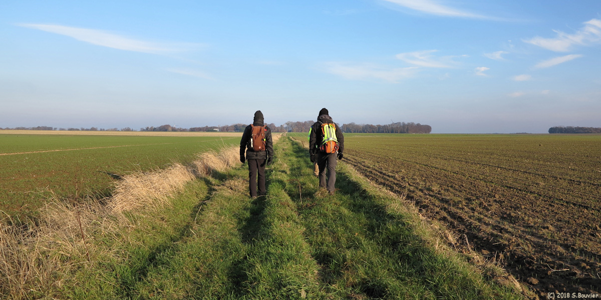 Crasville la Rocquefort (Chemin 2)