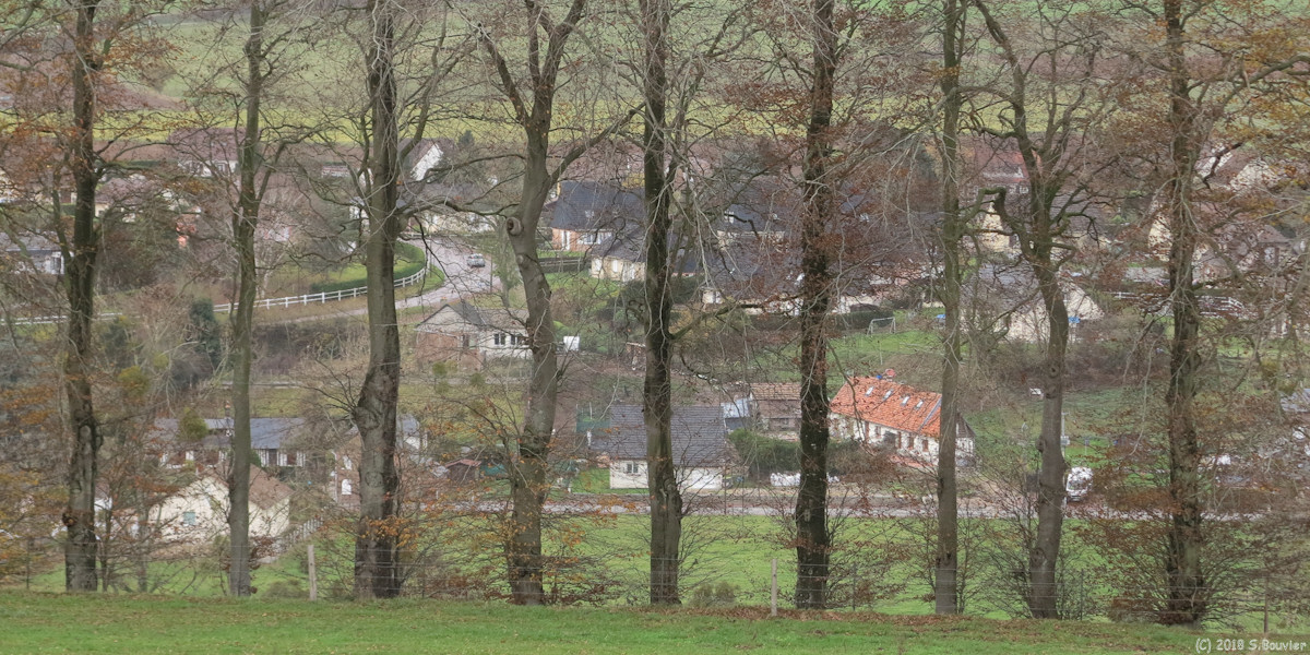 Brachy (Rideau d'Arbres)