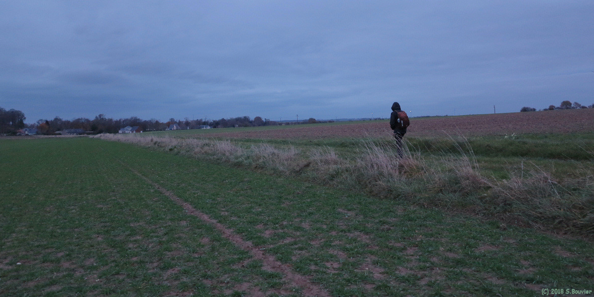 Luneray (Chemin, Nuit)