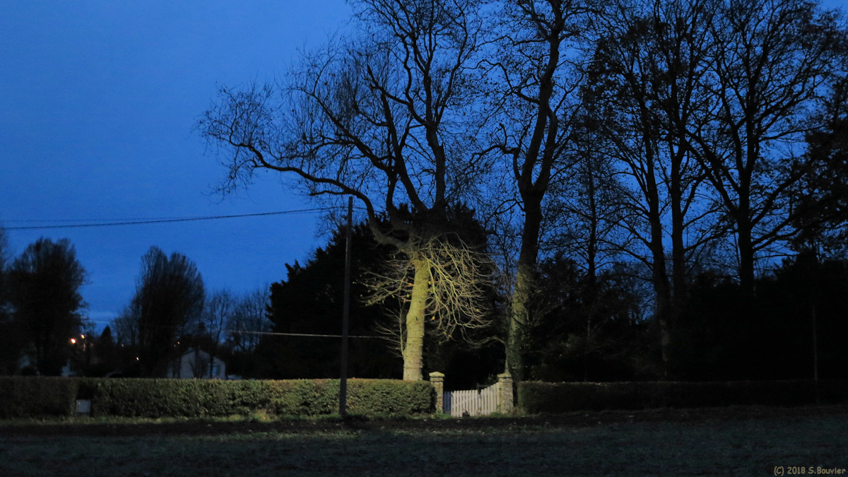 Luneray (Barrière, Nuit)
