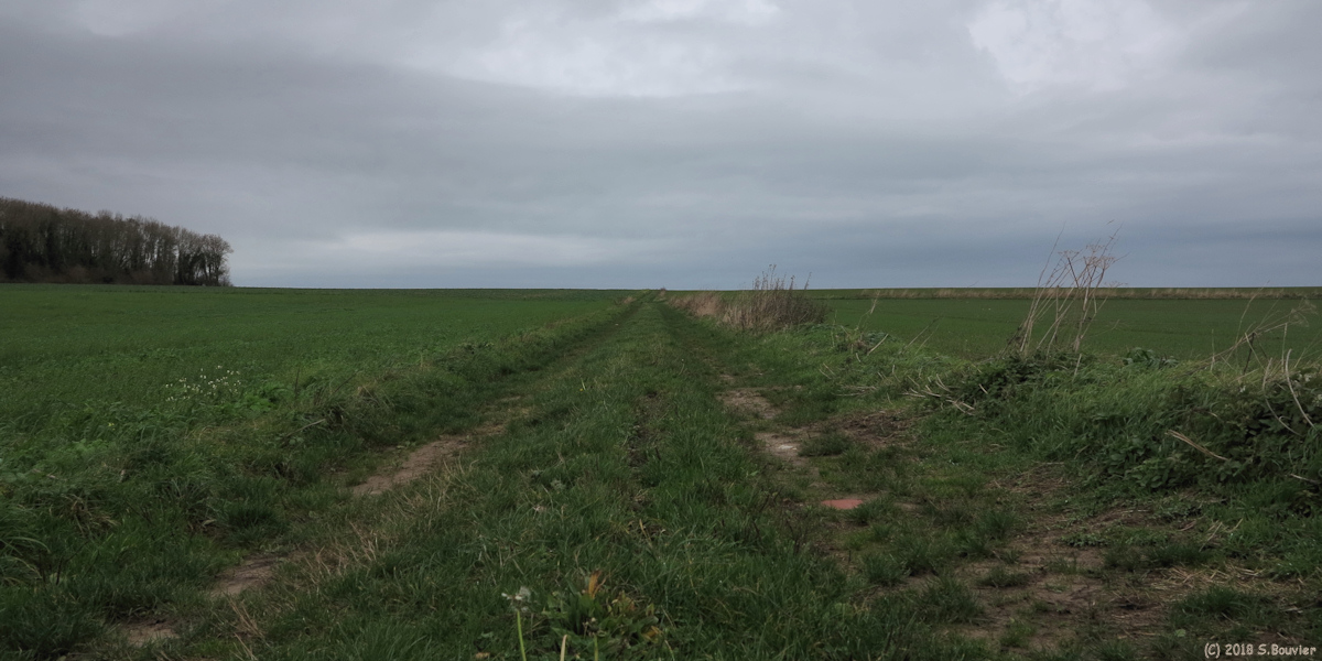 La Chapelle sur Dun (Chemin)