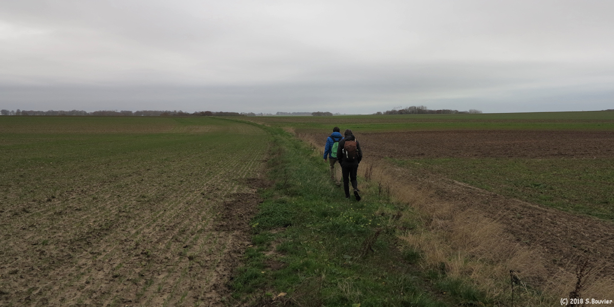 Sotteville sur Mer (Chemin 1)