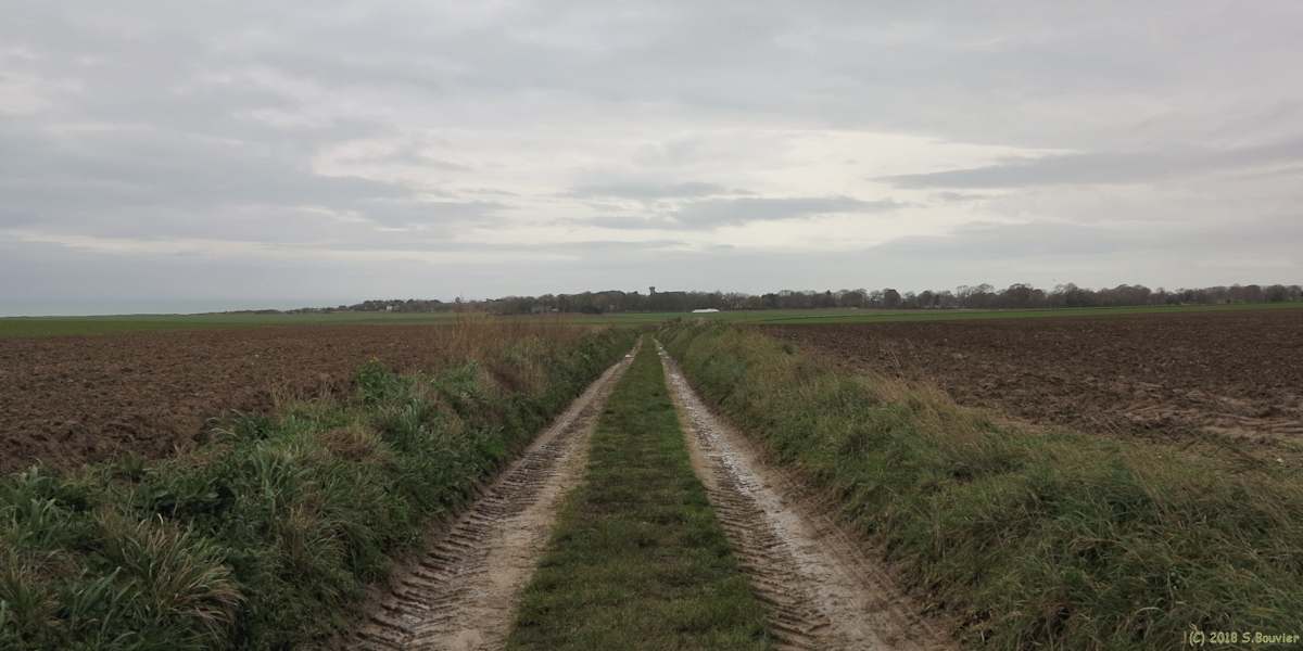 Sotteville sur Mer (Chemin 3)