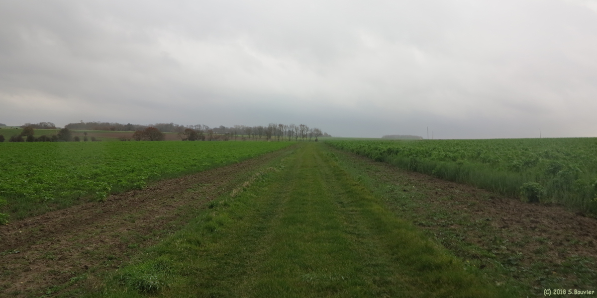 Sotteville sur Mer (Chemin 5)