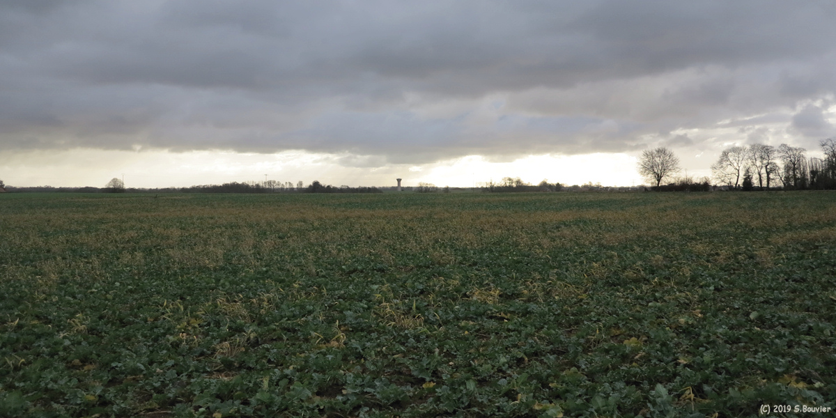 Gonneville sur Scie (Plaine 1)