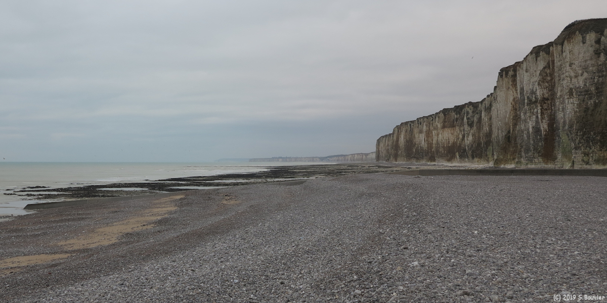Saint Valery en Caux (Estran)