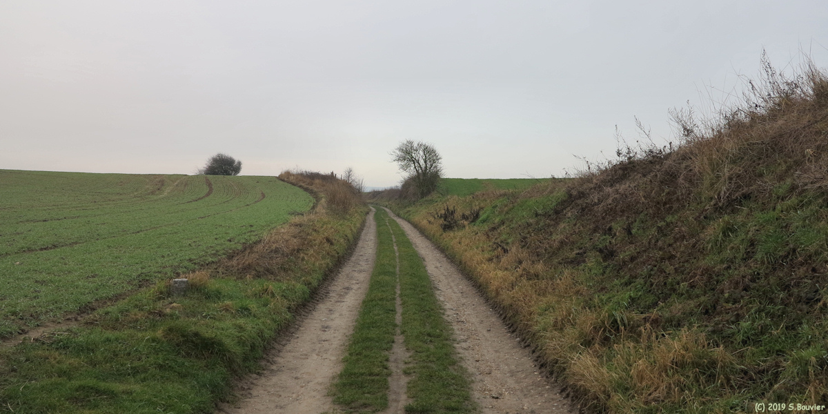 Le Tréport (Chemin 1)