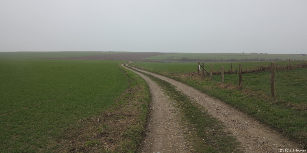 Criel sur Mer (Chemin)