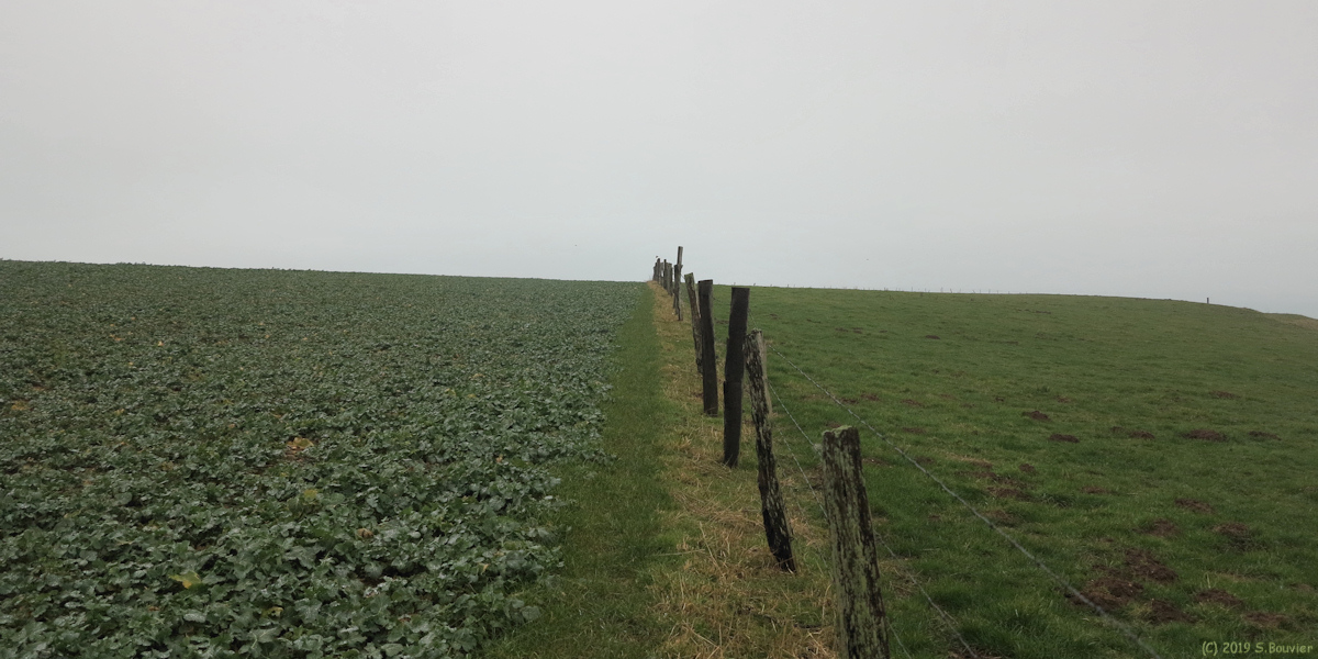 Biville sur Mer (Sentier)
