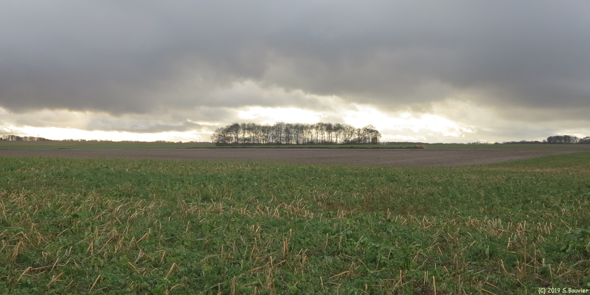 Saint Riquier Es Plains (Plaine)