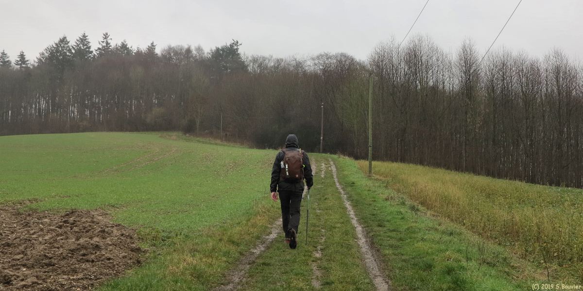 Crosville sur Scie (Chemin)