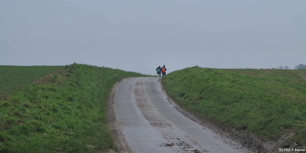 Aubermesnil-Beaumais (Route)