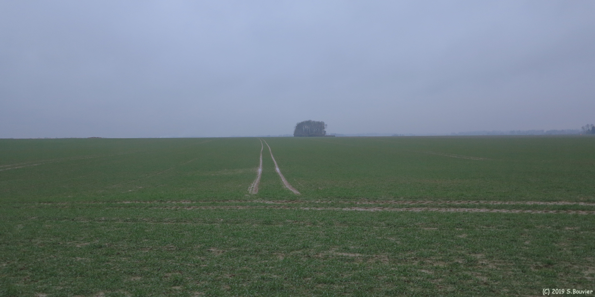 Anneville sur Scie (Plaine)