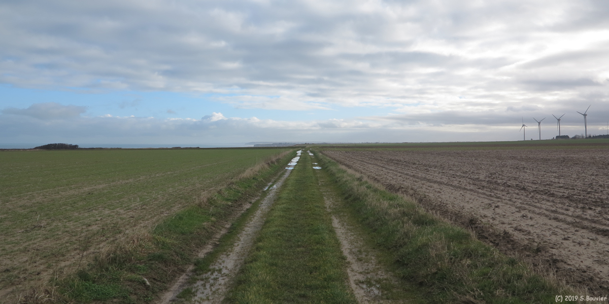Saint Valery en Caux (Chemin)